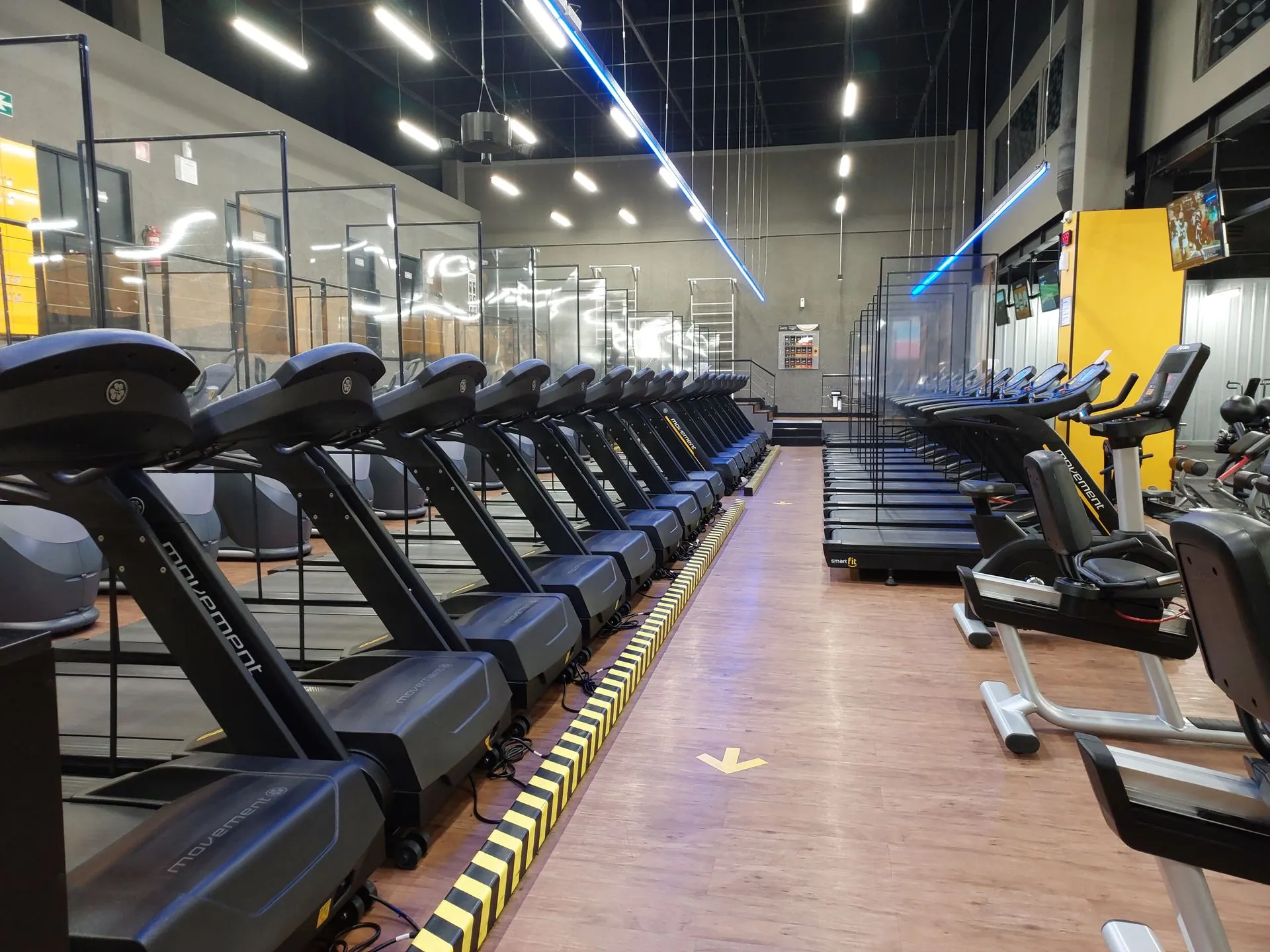 Modern gym with treadmills